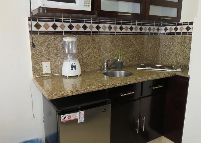 Melchor Ocampo 445 Apartamento *